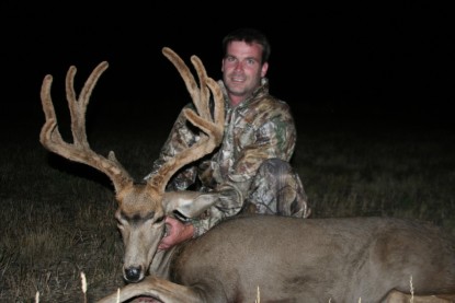 Mature Mule Deer Bucks